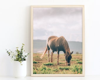 Horse Photo, Digital Download, Art for Kids Room, Horse Grazing, Horse Wall Art, Animal Photography, Wall Art, Home Decor, Animal Art