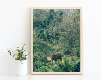 Elephant Photo, Digital Download, Elephant Artwork, Nursery Art, Kids Room Art, Elephant In Jungle, Elephant in Wild,  Home Decor, Printable