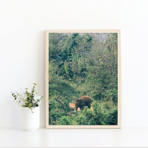 Elephant Photo, Digital Download, Elephant Artwork, Nursery Art, Kids Room Art, Elephant In Jungle, Elephant in Wild, Home Decor, Printable image 1