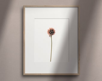 Pink Flower Photo, Digital Download, Wall Art, Botanical Photography, Minimalist Plant Photo, Flower Print, Home Decor, Printable