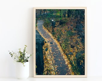 Central Park Walking Path Print - Autumn Landscape in New York, Fall Colors and Leaves, Nature Wall Art, Home Decor Photography