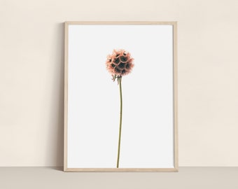 Pink Flower Botanical Print - Minimalist Plant Photography Wall Art, Floral Home Decor, Elegant Flower Photo Art