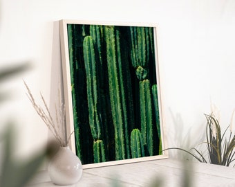 Cactus Photo, Digital Download, Cactus Wall Art, Southwestern, Home Decor, Boho Decor, Desert Art, California Art, Modern Decor, Printable