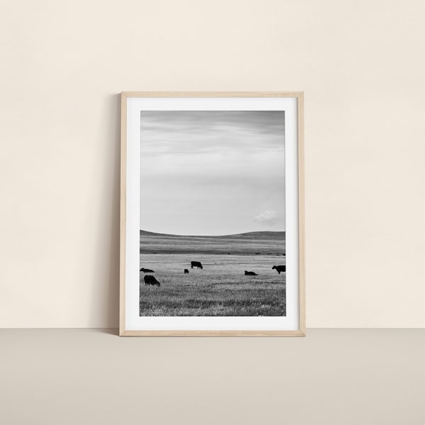 Minimalist Black and White Cow Print - Grazing Cows Landscape Photo, Serene Farm Wall Art, Home and Office Decor, Rustic Countryside Artwork