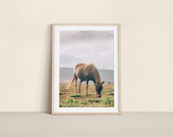 Grazing Horse Photo Print - Equestrian Wall Art, Animal Photography, Serene Horse Artwork, Home Decor, Rustic Animal Art