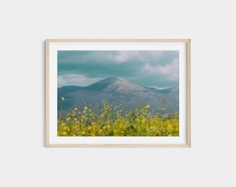 イタリアの山の風景写真：野花の写真、モンティ・エルニチ