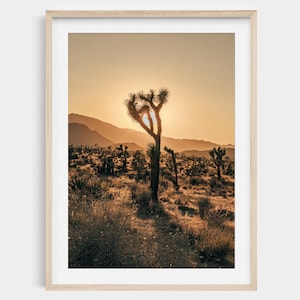 Joshua Tree Sunset Print - Boho Wall Art, Joshua Tree Photography, Artistic Desert Landscape, Home Decor Wall Art