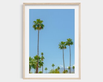Palm Springs Palm Tree Photography Print: Mid-Century Modern West Coast Wall Art