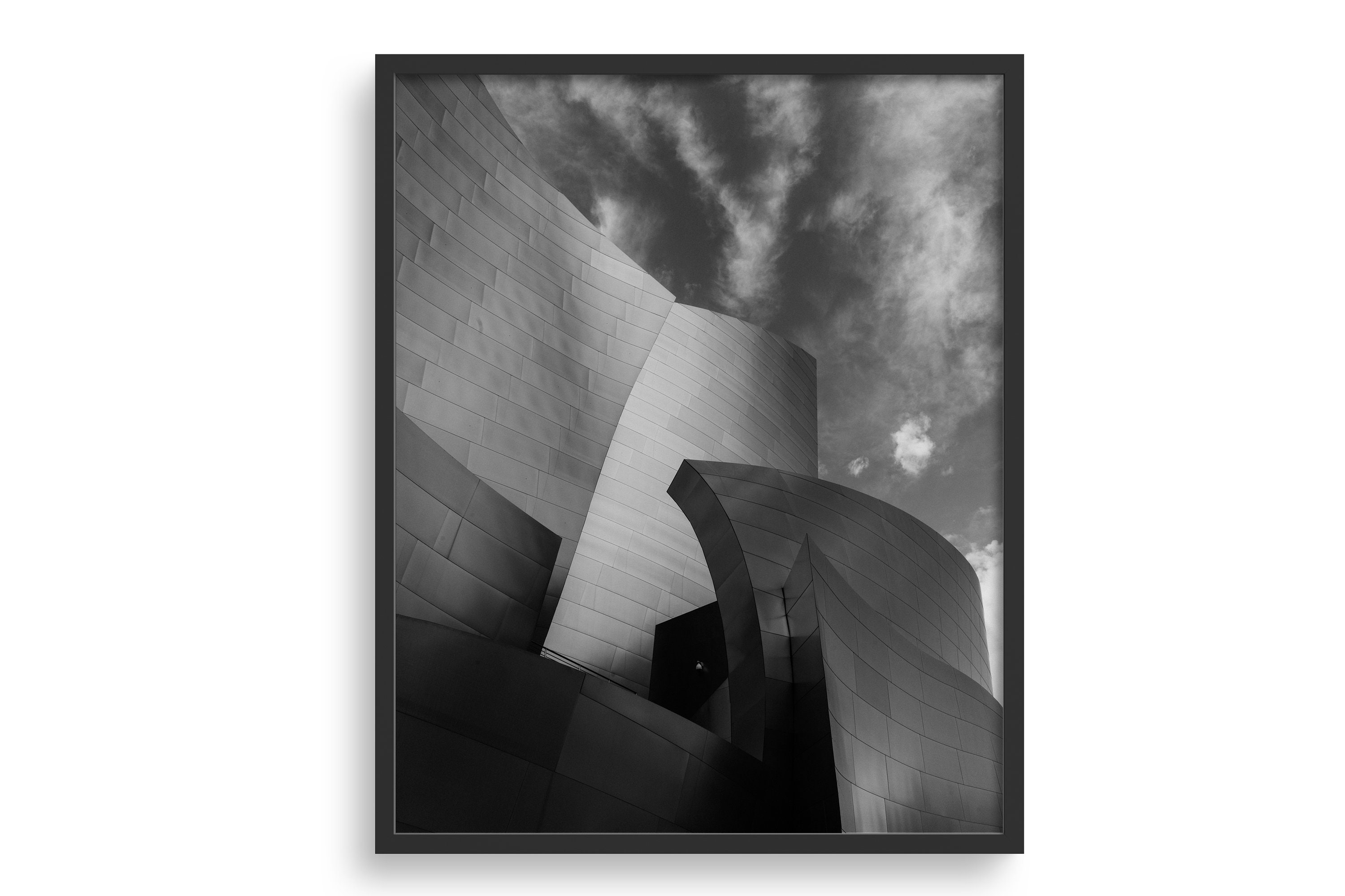 Walt Disney Concert Hall Photo Print Los Angeles - Etsy