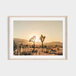 Joshua Tree Sunset Print - California Landscape Wall Art, Home Decor, Artistic Joshua Tree Photo Print