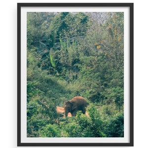 Elephant Photo, Digital Download, Elephant Artwork, Nursery Art, Kids Room Art, Elephant In Jungle, Elephant in Wild, Home Decor, Printable image 5