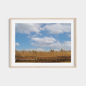 East Hampton Landscape Photo: New York Hamptons Wall Art