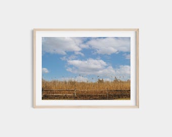 East Hampton Landscape Photo: New York Hamptons Wall Art