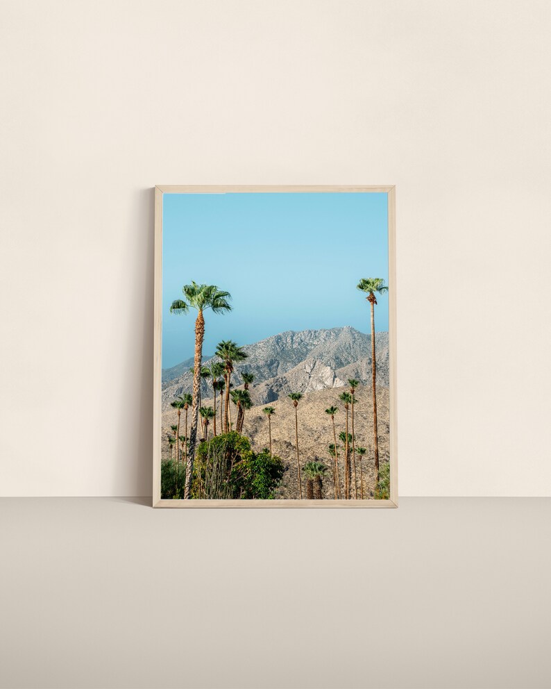 Palm Springs Photo, Digital Download, Palm Tree Wall Art, Palm Springs Wall Art, Boho Decor