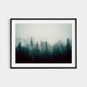 Misty Adirondack Forest Print: Upstate NY Mountain Landscape Photo