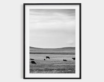 Black and White Cow Print: Minimalist Farmhouse Wall Art