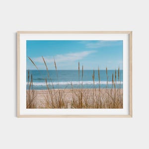 Hamptons Beach Photo: New York Coastal Landscape Art