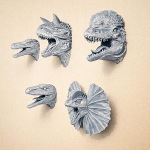 Könnte beinhalten: Graue Dinosaurierkopf-Wanddekoration. Das Bild zeigt fünf verschiedene Dinosaurierköpfe mit offenem Maul, die an einer beigefarbenen Wand befestigt sind. Die Köpfe variieren in Größe und Art, darunter ein Tyrannosaurus Rex und ein Dilophosaurus.