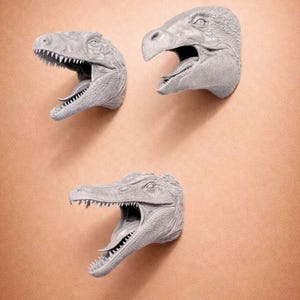 Könnte beinhalten: Drei graue Wandskulpturen von Dinosaurierköpfen mit geöffneten Mäulern und sichtbaren Zähnen sind an einer pfirsichfarbenen Wand angebracht. Die Skulpturen zeigen verschiedene Dinosaurierarten.