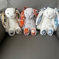 Custom Collegiate Jellycat Bunny: College Acceptance, Graduation, Alumni Gift - Over 100+ Schools