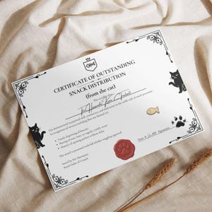 Certificado imprimible de gato divertido • Premio de distribución de bocadillos del gato • Regalo para amantes de las mascotas • Humor felino del Día del Padre Descargar A4