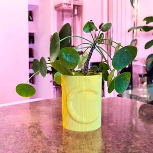 Modern Maximalist Planter | Indoor Plant Pot | Minimalist Modern Home Decor | Small To Large Gift Creche | Baby Shower