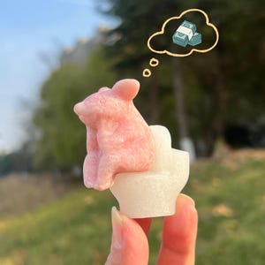 Puede incluir: Una figura de oso rosa sentada en un inodoro blanco, con una burbuja de pensamiento que muestra dinero. El oso es de color rosa claro y el inodoro es blanco. El fondo es verde borroso.