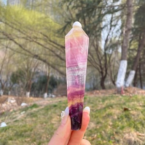 Puede incluir: Un obelisco de cristal de fluorita multicolor. El cristal presenta bandas de color púrpura, rosa, amarillo y blanco. El obelisco se sostiene en una mano, con un fondo borroso de árboles y hierba. La parte superior del obelisco tiene una tapa blanca y redondeada.