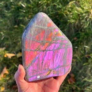 Puede incluir: Una piedra preciosa de labradorita pulida con una iridiscencia rosa, naranja y púrpura vibrante. La piedra tiene un color base gris con vetas grises oscuras. La gema se sostiene en una mano sobre un fondo de hierba verde.