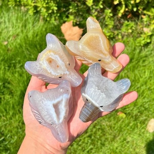 May include: Four carved stone wolf head figurines in shades of gray, tan, and white. The wolf heads are held in a hand against a backdrop of green grass. The stone has a polished, smooth finish, and each wolf head has detailed features.