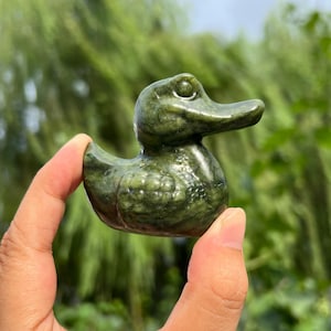 1pc Natural Serpentine Crocodile Duck Carving,Crystal Figurine,Duck Carving,Mineral Specimen,Home Decoration,Reiki Healing,Crystal Gift