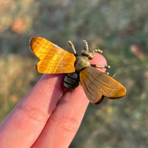 May include: A detailed bee-shaped brooch with golden-brown wings and a bronze-coloured body. The wings have a striped pattern, and the body features segmented detailing. The brooch is held between fingers, showcasing its intricate design.