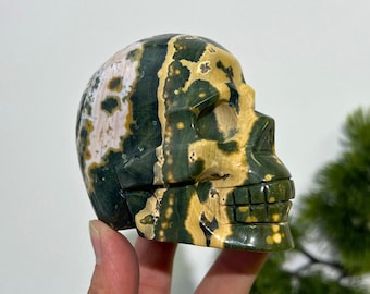1.9LB Unique Natural Ocean Jasper Skull Carving,Reiki Healing,Home Decor,Crystal Gift