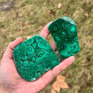 Può includere: Due pietre di malachite lucidata, che mostrano un colore verde vibrante con intricati motivi a spirale. Le pietre sono tenute in una mano, con i modelli e le trame naturali chiaramente visibili. I pezzi di malachite hanno una forma irregolare.