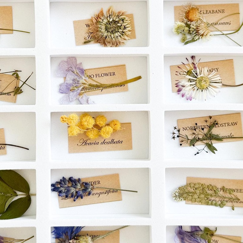 Advent Calendar 2025 Etsy Canada