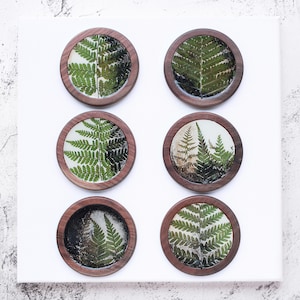 Puede incluir: Seis posavasos redondos de madera con diseño de hoja de helecho. Cada posavasos presenta una hoja de helecho verde preservada, encapsulada en resina transparente, dentro de un marco de madera marrón oscuro. Dispuestos sobre un fondo blanco.