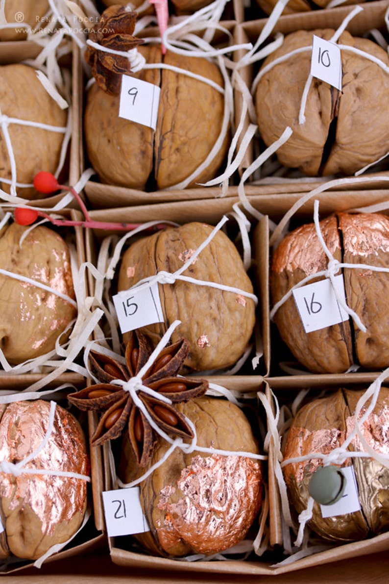 Walnut surprise advent calendar Etsy