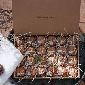 May include: A brown cardboard box filled with walnuts, each numbered and tied with twine, creating an advent calendar. The box is open, revealing the contents, and the text "BE FILLED WITH WONDER TO BE TOUCHED BY PEACE" is printed on the inside of the lid.