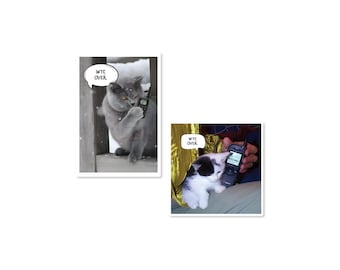 WTF Over Cat 3" Waterproof Vinyl Sticker