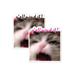 May include: Two stickers featuring a blurry image of a cat with its mouth open, appearing to scream. The text on the stickers reads "y'all mind if I".