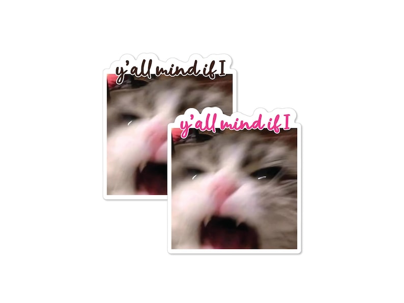 May include: Two stickers featuring a blurry image of a cat with its mouth open, appearing to scream. The text on the stickers reads "y'all mind if I".