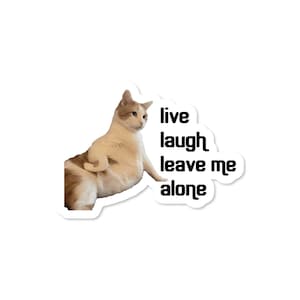Funny Cat Sticker Live Laugh Leave Me Alone β Grumpy Cat Attitude Vinyl Decal for Laptop or Water Bottle