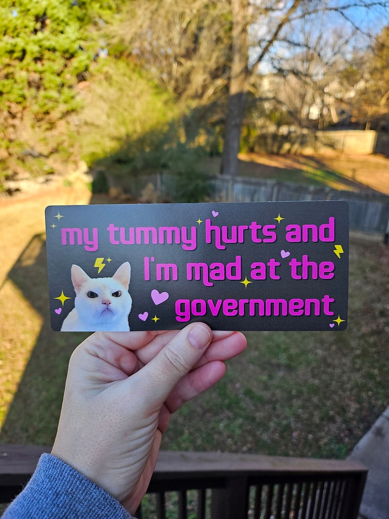 My Tummy Hurts and I'm Mad at the Government Funny Bumper Sticker or Magnet 7x3 image 10