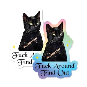 FAFO Cat Funny 3&quot; Sticker waterproof holographic vinyl