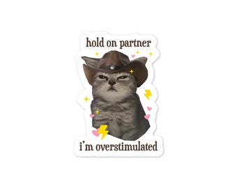 Hold On Partner I'm Overstimulated Cowboy Cat 3" Funny Vinyl Sticker