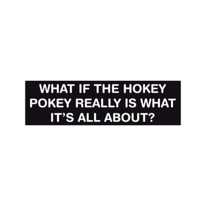 Hokey Pokey Funny Bumper Sticker or Magnet 7x3&quot;
