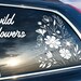 see more listings in the Car Decals section