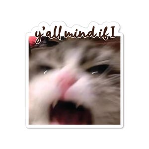 May include: A close-up of a cat's face with its mouth open wide, showing its teeth. The cat's fur is white and grey, and its eyes are wide open. The text "y'all mind if I" is written above the cat's head.