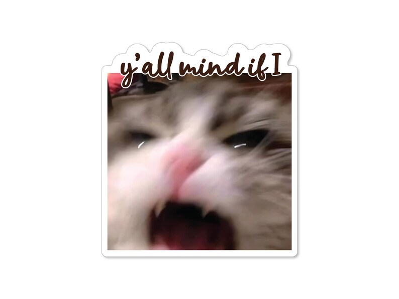 May include: A close-up of a cat's face with its mouth open wide, showing its teeth. The cat's fur is white and grey, and its eyes are wide open. The text "y'all mind if I" is written above the cat's head.