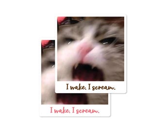 Funny Cat Sticker I Wake I Scream 3" Waterproof Vinyl Decal